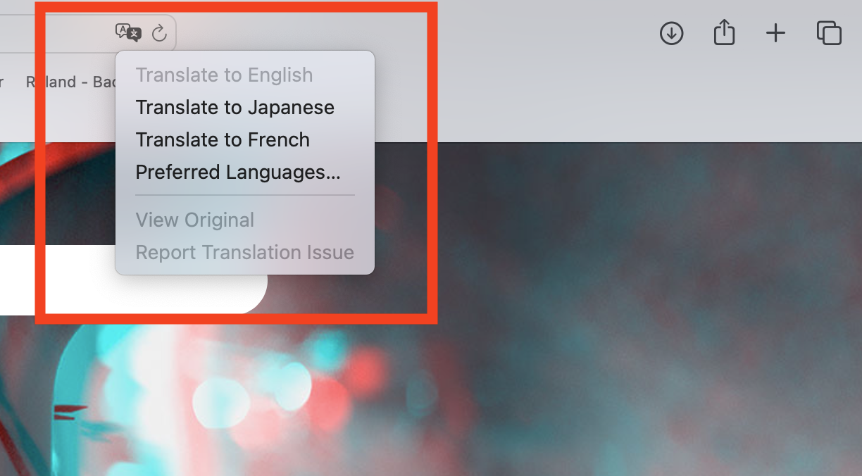 Translate_Safari.png