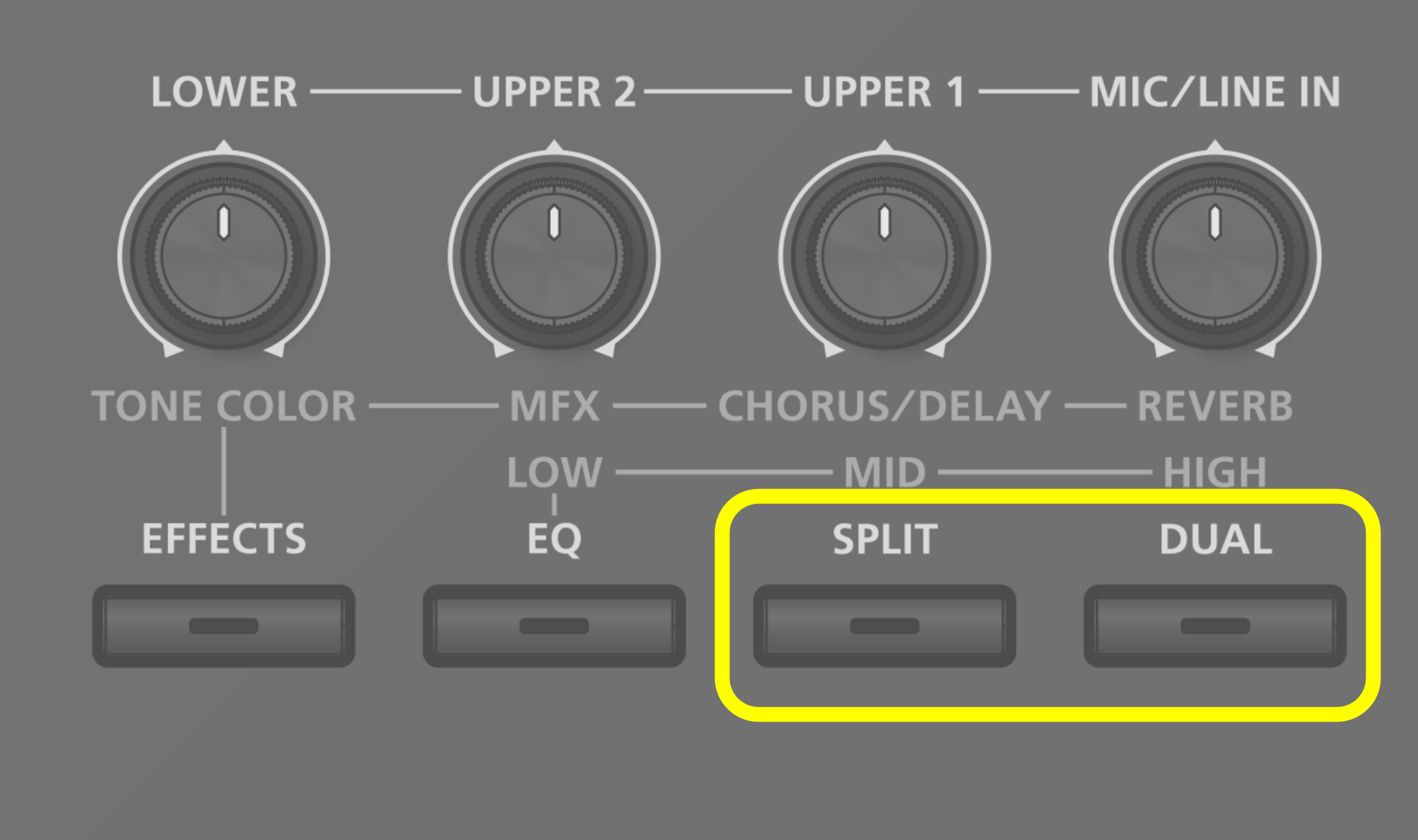 rd-08_split_dual_button.png