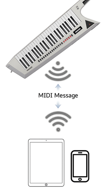 ax-edge_bt_midi.png