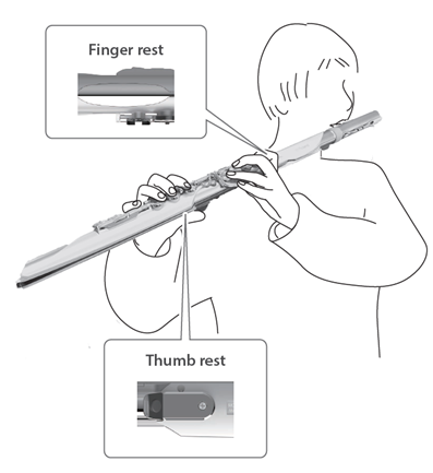 ae-brisa_holding the instrument.png