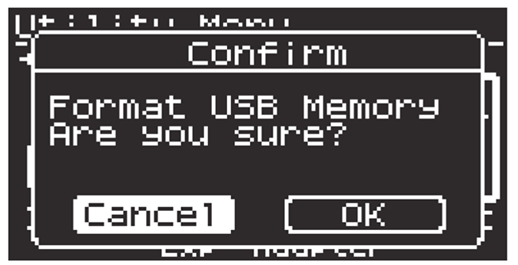 gokeys5_usb memory format.png