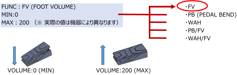 EXP FV